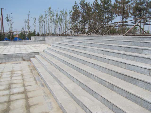 ����ʯ�ďS